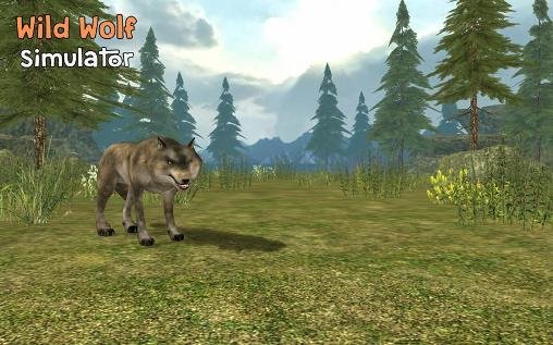 download Wild wolf simulator 3D apk